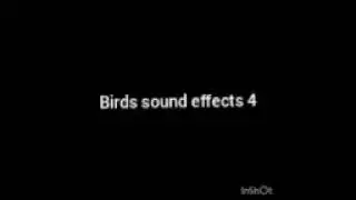 Birds sound effects No copyright background music on YouTube channel
