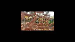 Creative Installation | Fish Installation | Clay fish Art | Clay fish ideas | The Art Factory