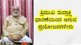 Miraculous benefits of three faced Rudraksha | Vijay Karnataka