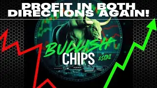 Trading SOXL | CONSISTENT PROFIT | REPEATABLE STRATEGY |  Semiconductors | QQQ SPY | Nov 19th Levels