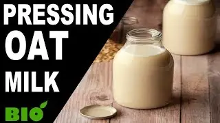 Oat Milk Pressing Using The BIO Press