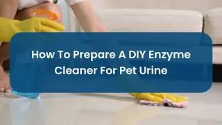 How To Prepare A DIY Enzyme Cleaner For Pet Urine | Bond Cleaning in Canberra