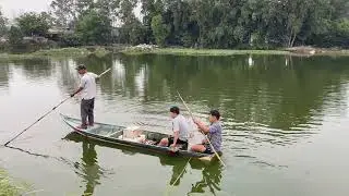 Bắt Cá Lớn Quá Nhiều Trong Hồ Tự Nhiên
