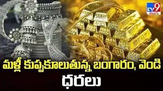 Gold and Silver Prices Crash Again! : మళ్లీ కుప్పకూలుతున్న బంగారం, వెండి ధరలు - TV9