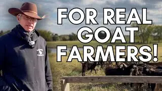 Welcome to Goat Farmer's Playbook: Your Guide to Profitable Goat