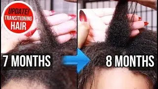 7 & 8 Month Transitioning Natural Hair Length UPDATE!
