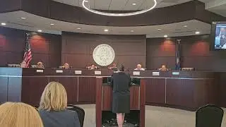Chelsea Quintern's RSA public comment
