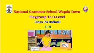 E.P.LZip Frame PG Daffodil
