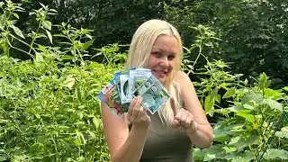 CROPS TO PLANT FROM SEED IN JULY FOR CONTINUOUS HARVEST🌱 👩&zwj;🌾