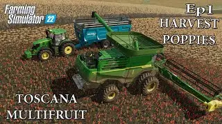 HARVEST POPPIES AND STARTER MAP TOSCANA MULTIFRUIT | FARMING SIMULATOR 2022 | MODS & TUTORIAL FS22