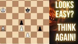 Выглядит легко? Подумайте ещё раз! (Шокирующий поворот концовки) #Chess #EndgameChallenge #ChessP...