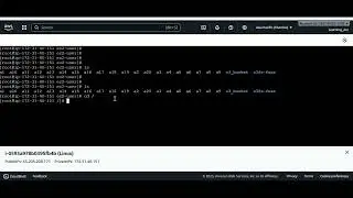 Day 2 | Linux Commands | Day to day useful linux commands | Linux tutorials | Linux troubleshooting
