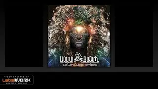 Liquid Bloom feat. Deya Dova - Resonant Migration (Tribone Remix)