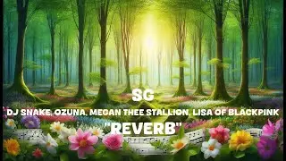 DJ Snake, Ozuna, Megan Thee Stallion, LISA of BLACKPINK - SG (Reverb Lyrics)
