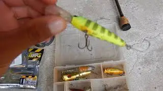 My rod and reel Arsenal/also gear
