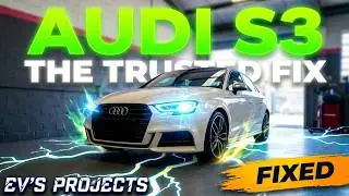Why I Trust Ricky's Alignment for My Audi S3 Maintenance