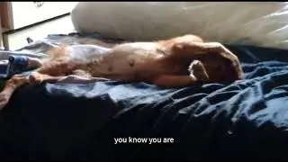 9GAG fun off When you try to compliment your girlfriend