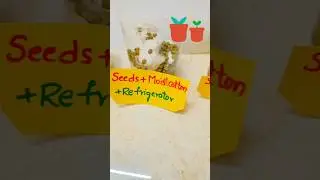 My science experiments ❤️🪴🌴🌱#trend#short #shorts#video #reels #shorts#instagram #science#activity