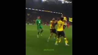 Tony Modeste!!! Ausgleich!!!!!💛🖤