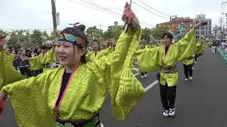 支志團 2024福山ばら祭 ﾛｰｽﾞﾊﾟﾚｰﾄﾞその1 mususukunjp 【4K】