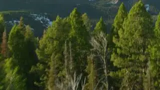 Drudaoshian Grounding Ritual
