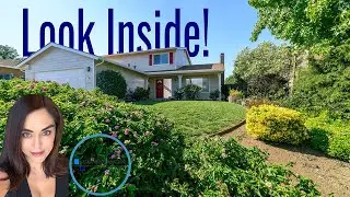Step Inside This Surprising Home Tour! 101 Carlisle Way Benicia