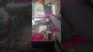 We Went full time, off grid, Van Life With a 17-Year-Old Cat