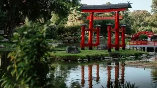 Relaxing Japanese Garden with Running Water and Birds Sounds