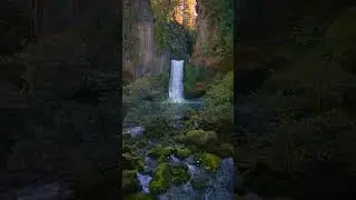 Epic Aerial View of Waterfall & Basalt Cliffs 🌊🌲 | Nature&rsquo;s Grandeur in 4K #Shorts