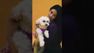 Dog Love: The Heartwarming Bond You Need to See!#DogLove #UnconditionalDogLove #DogAffection #dog