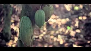 The Chocolate Song - &Ccedil;a c'est le Max !