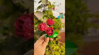 how to make Rose box ✨|| reuse egg curry #diy #shorts #rose #reuse #song