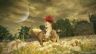 1 Hour of The Shaman Village - Elden Ring Shadow of the ErdTree
