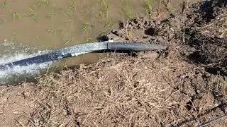 type of farming in telangana state nizamabad district birdipur village
