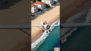 Sydney Sky Cruise &mdash; Cute Little Animal Pilot | 雪梨天空巡航 &mdash; 可愛小動物的療癒飛行時刻 🌊🐾✈️