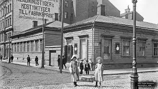 Finska fotografer - Signes Helsingfors