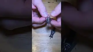 Rage Hypodermic Broadheads Are Super Sharp #huntingshorts #deerhunting #broadhead