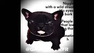 「 Niggle 🥷 」- &Uacute;LTIMO SUSPIRO - Niggle (Black Pibble)