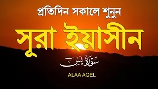 প্রতিদিন সকালে শুনুন – মন জুড়ানো কণ্ঠে সূরা ইয়াসিন | (سورة يس) Surah Yasin | Morning Tilawat
