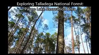 Exploring Talladega National Forest:  Hiking Payne Lake Recreation Area