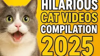😹 Подборка уморительных видео с кошками 2025 года | Самые смешные коты всех времен! #видеокошек #...