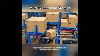 Smart Warehouse Tech: HEGERLS Four-Way Shuttle Demo #warehouse #hegerls