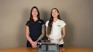 Bascula CONNECT 40 TN