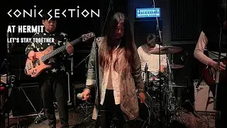 Conic Section - Let's Stay Together (Hermit live club 2026/1)