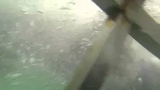 Great White Shark Swims Into GoPro Camera During Cage Divin