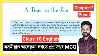 Class 10 English A Tiger in the Zoo Question Answer MCQ Explain Summary // Class 10 First Flight