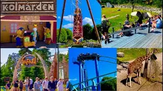 Kolm&aring;rden Wildlife Park 2026: Summer highlights tour in 50 min