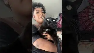 Talking Cats😯🐈
