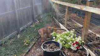 TaterVision - 