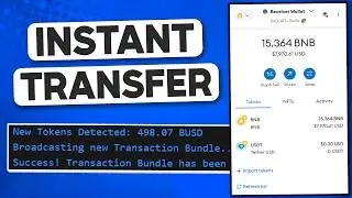 Flashbot Bot for Trust Wallet, MetaMask & More! [2024] (Binance Smart Chain)